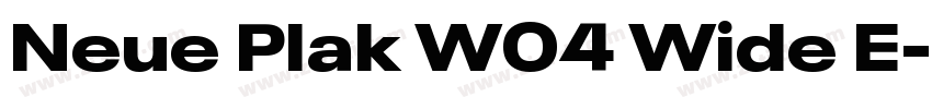 Neue Plak W04 Wide E字体转换